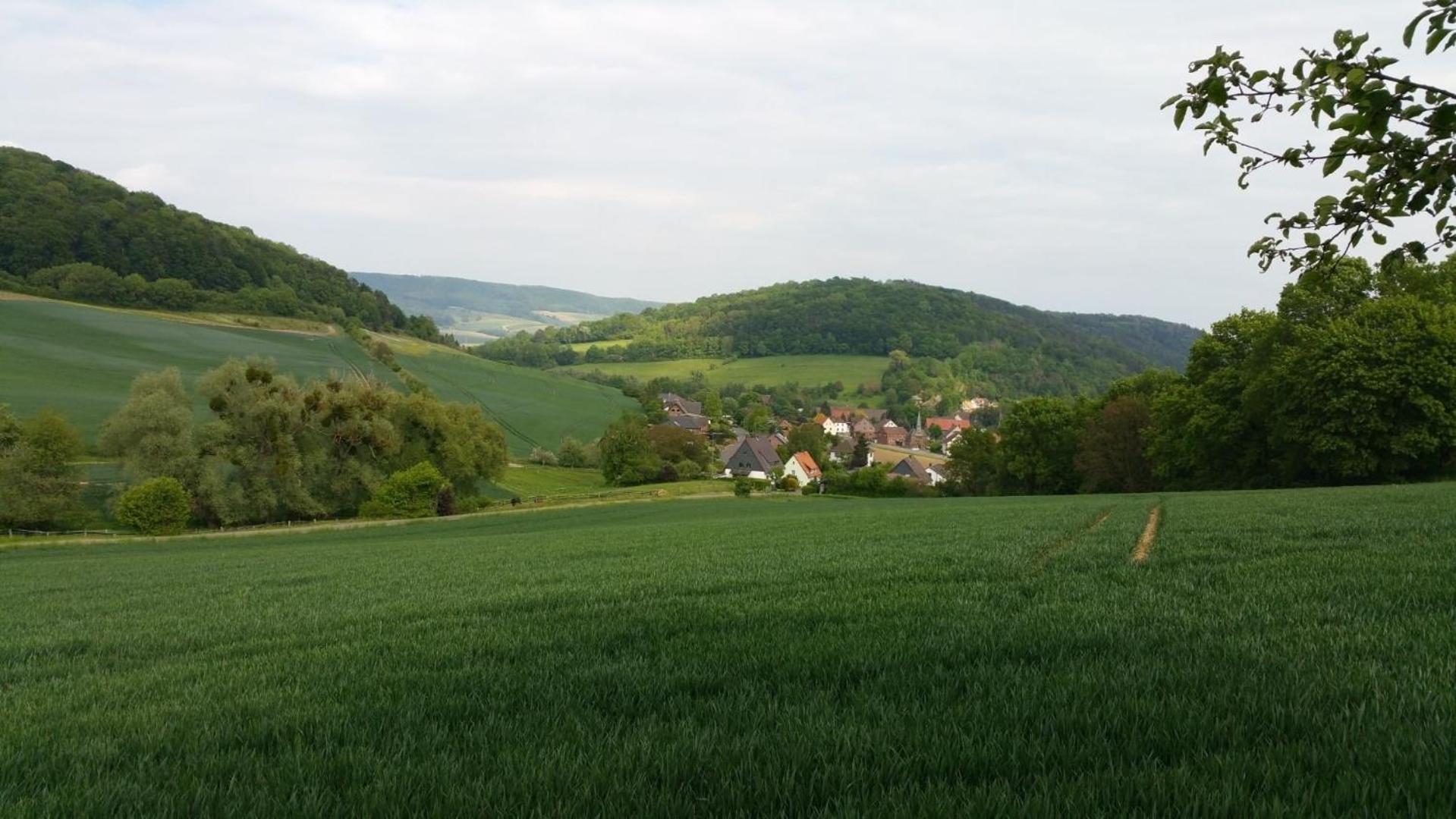 Ferienwohnung Fewo im Weserbergland Bodenwerder Exterior foto